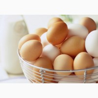 Продам яйцо домашних кур, выращенных на кормах без добавления стимуляторов и антибиотиков