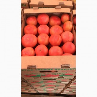 Сертифицированные помидоры «Розовый гигант» уже в продаже