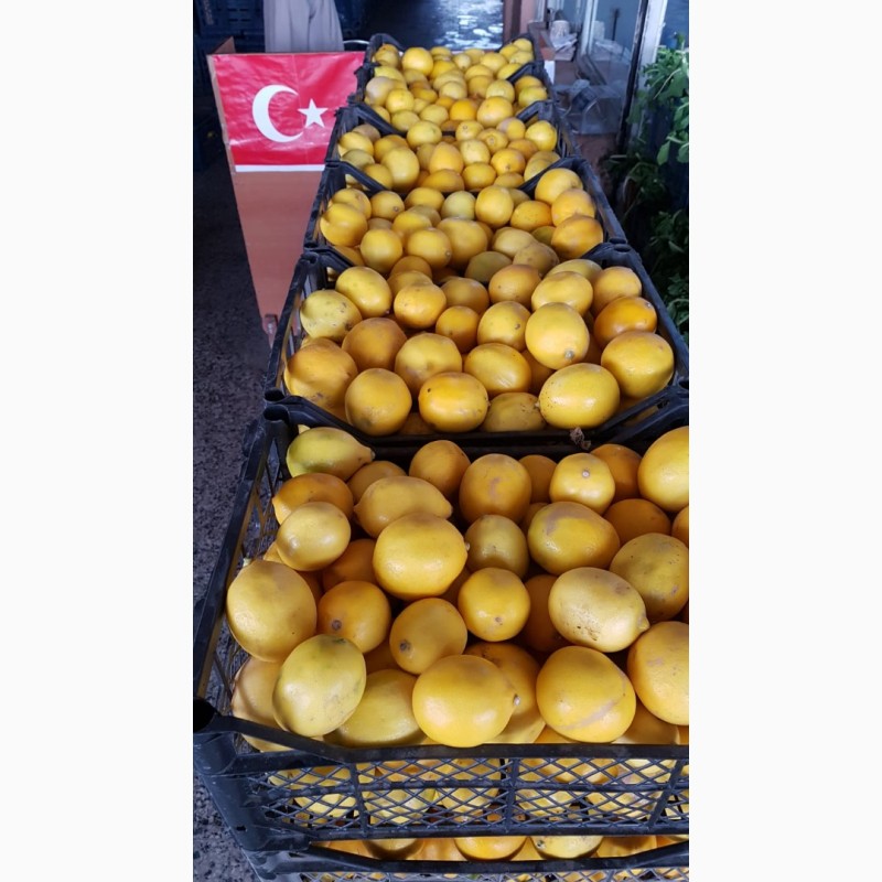 Фото 4. Мандарин, лимон, гранат для переработки