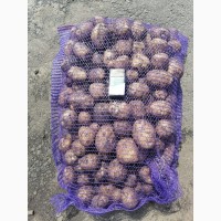 Продам продовольственный картофель урожая 2021