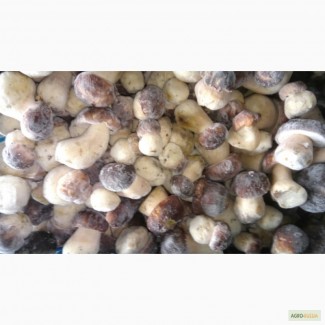 Продам белые грибы мороженные
