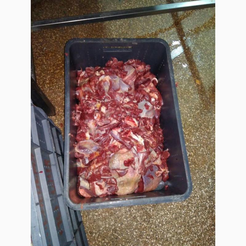 Фото 4. Мясо блочное говядина