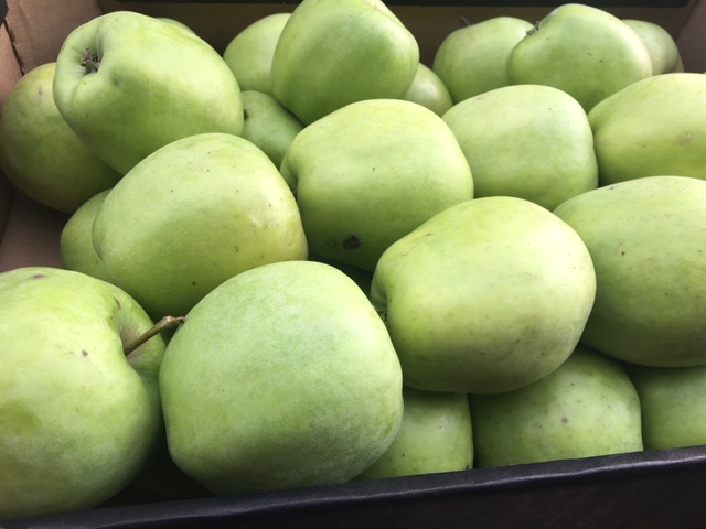Фото 3. Яблоки урожая 2017
