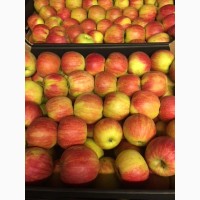 Яблоки урожая 2017