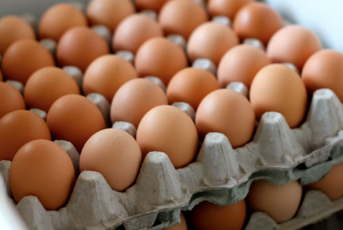 Фото 4. Оптовые поставки Яйца куриного лучшего качества