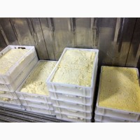 Сыр Кальята обезжиренный для переработки (брус)