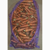 Морковь со склада хозяйства