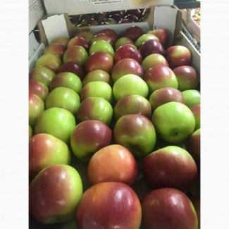 Яблоки различных сортов оптом по ценам от производителя