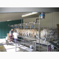 Проектирование Строительство Ферм для коз, овец, крс под ключ