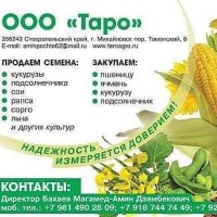 Продаем семена кукурузы, подсолнечника, и др. культур