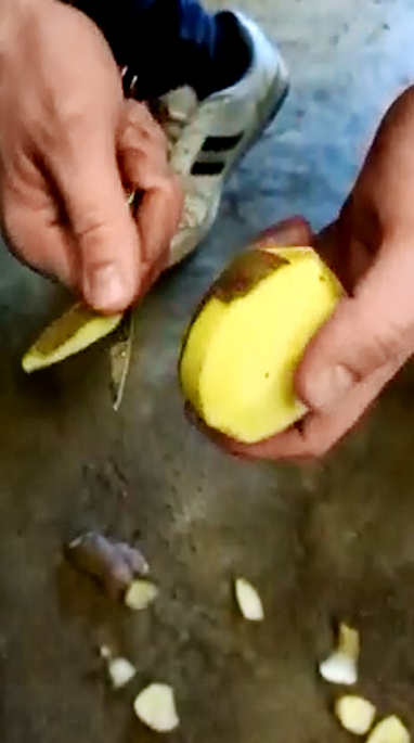 Картофель Скарб в оптом от 20 тонн