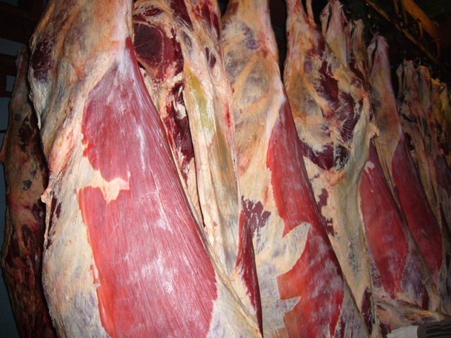 Фото 3. Предлагаем мясо говядины в полутушах оптом
