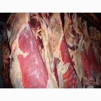 Предлагаем мясо говядины в полутушах оптом
