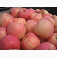 Яблоки оптом сорта Фуджи от производителя