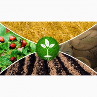 Предлагаем агрохимию.Средства защиты растений