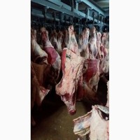 Продажа мяса недорого