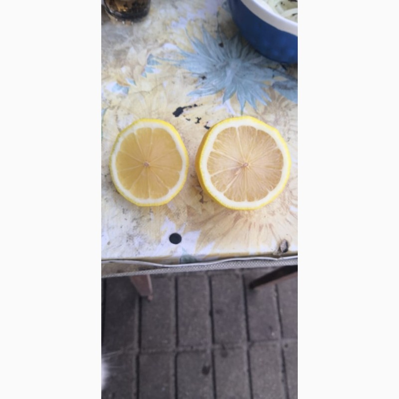 Фото 3. Лимоны оптом