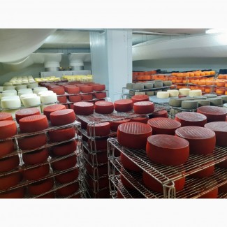 Продажа Сыра Производства Испания