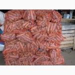 Морковь от производителя оптом от 4.5 р
