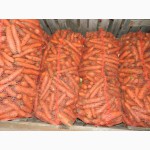 Морковь от производителя оптом от 4.5 р