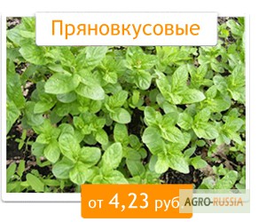 Фото 4. Корзинкин-24.ру - Интернет-магазин семян и удобрений