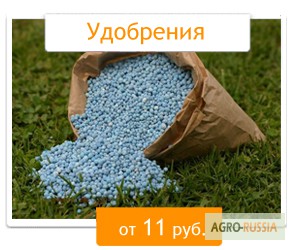 Фото 5. Корзинкин-24.ру - Интернет-магазин семян и удобрений