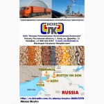 Услуги для экспортеров сельхозпродукции - г. Азов