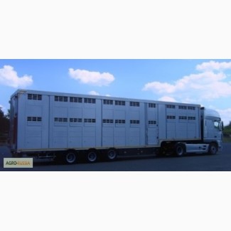 Предлагаем скотовозы для перевозки КРС и свиней грузоподъемностью до 20 тн