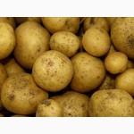 Продам деревенский картофель