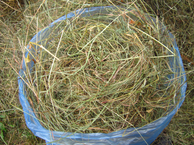 Фото 3. Продам сено для бани, сено на подстилки, для кроликов с доставкой по спб