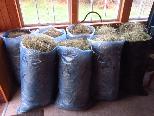Фото 4. Продам сено для бани, сено на подстилки, для кроликов с доставкой по спб