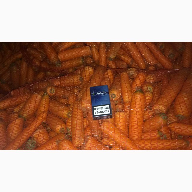 Фото 2. Морковь 2 сорт (некондиция ) оптом от 20 тонн