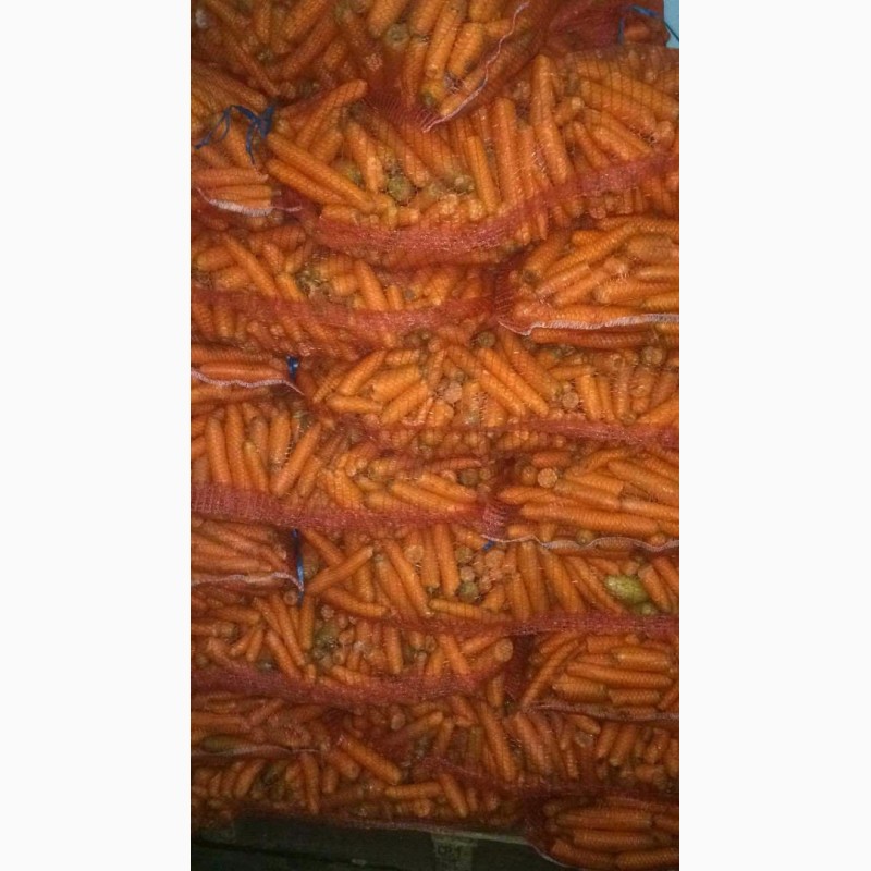 Фото 3. Морковь 2 сорт (некондиция ) оптом от 20 тонн
