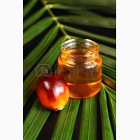 Пальмовое масло
