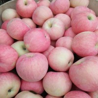 Яблоки оптом Фуджи