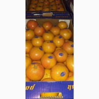 Апельсины из Турции
