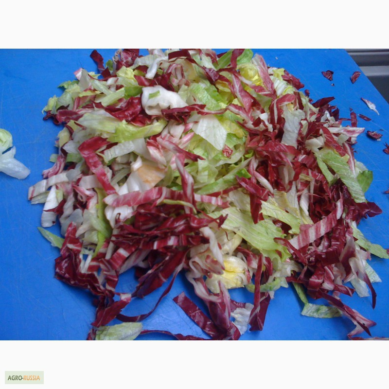 Фото 3. 1. Линии мойки, резки и упаковки салатов, салатные линии, салатовые смеси в комбинациях