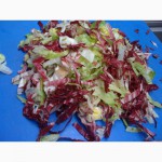 1. Линии мойки, резки и упаковки салатов, салатные линии, салатовые смеси в комбинациях
