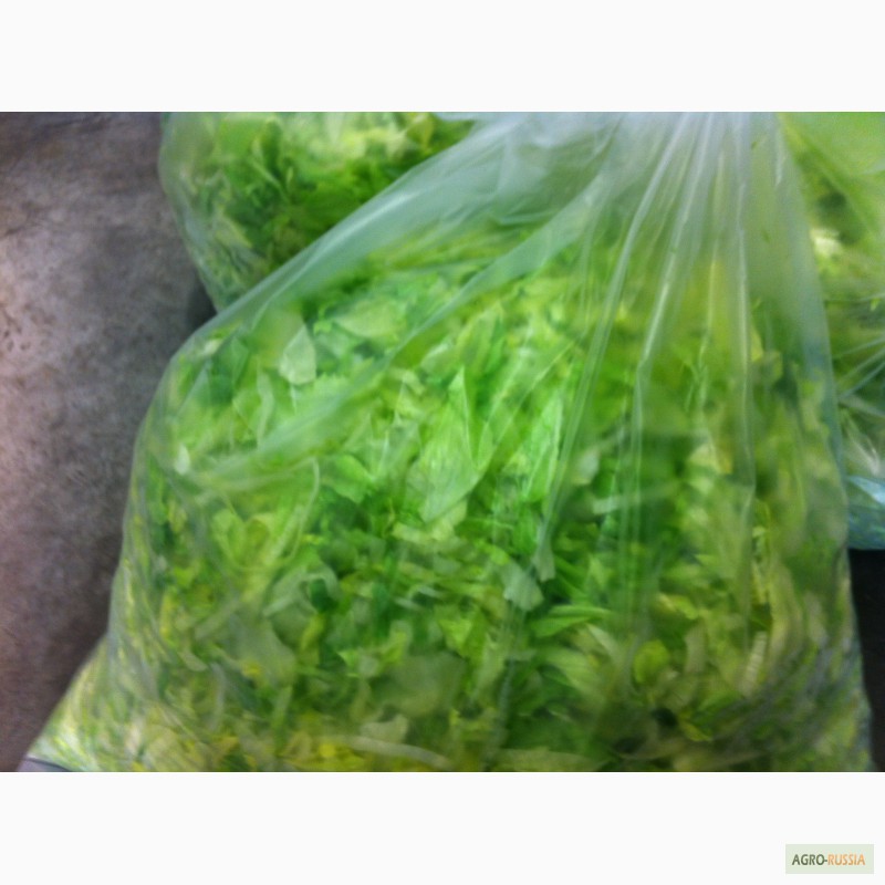 Фото 4. 1. Линии мойки, резки и упаковки салатов, салатные линии, салатовые смеси в комбинациях