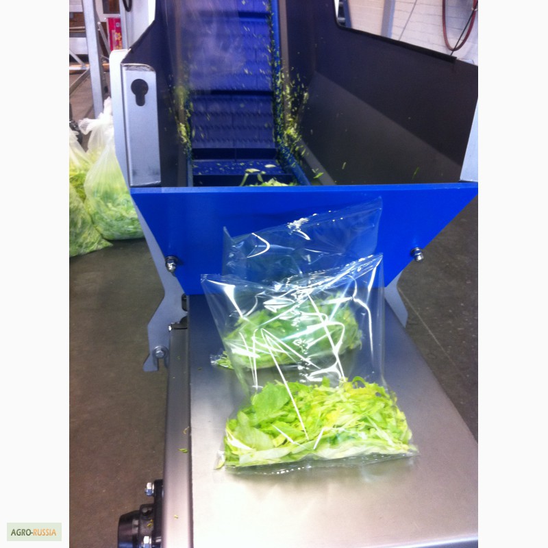 Фото 5. 1. Линии мойки, резки и упаковки салатов, салатные линии, салатовые смеси в комбинациях