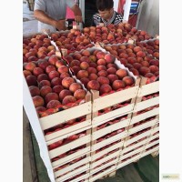 Продаем персики из Македонии