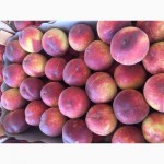 Продаем персики из Македонии