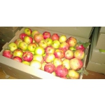Продам яблоки в СПб.