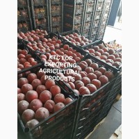 Продам свежие персики из Египта