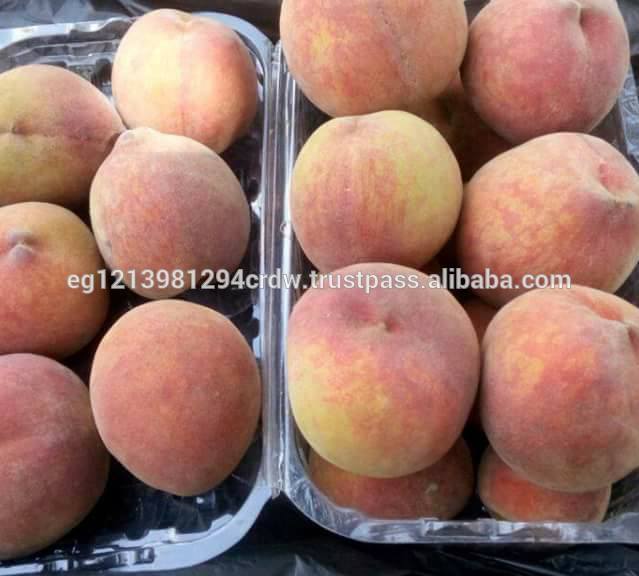 Фото 3. Продам свежие персики из Египта