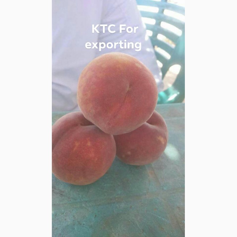 Фото 6. Продам свежие персики из Египта