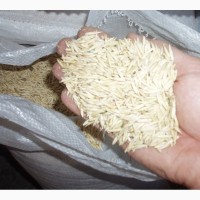 Фуражное зерно с доставкой по Смоленской области! Овес, ячмень, кукуруза, пшеница, жмых, шрот