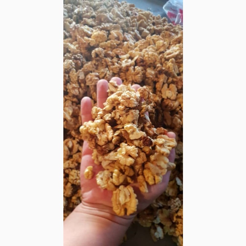 Фото 3. Продам грецкие орехи оптом бабочка кругляк чищенный калиброванный
