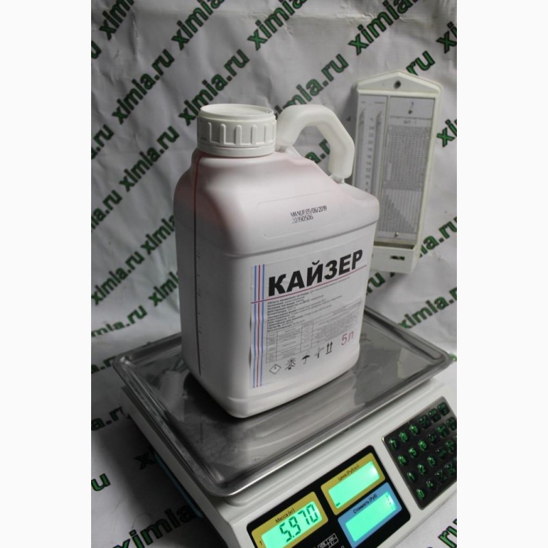 Фото 4. Кайзер, СК, протравитель инсектицидный тиаметоксам 350г, 250 литров, 05/2019 г