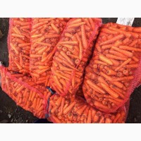 Реализуем морковь высшего качества